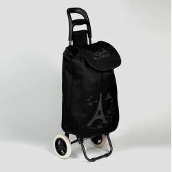 Iepirkumu soma ar 2 riteņiem