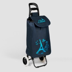 Iepirkumu soma ar 2 riteņiem