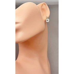 SWAROWSKI auskari apzeltīti