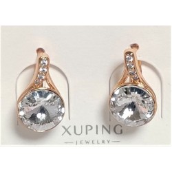 SWAROWSKI auskari apzeltīti