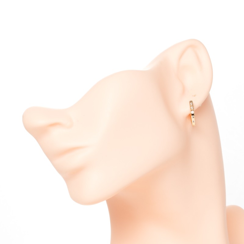 Apzeltīti auskari (standziņas)