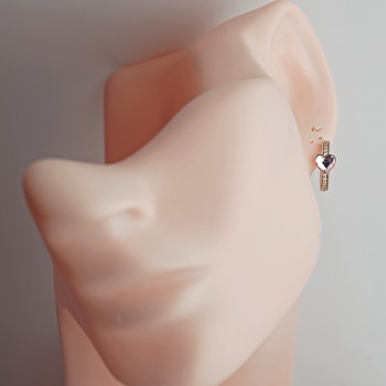 SWAROWSKI auskari apzeltīti