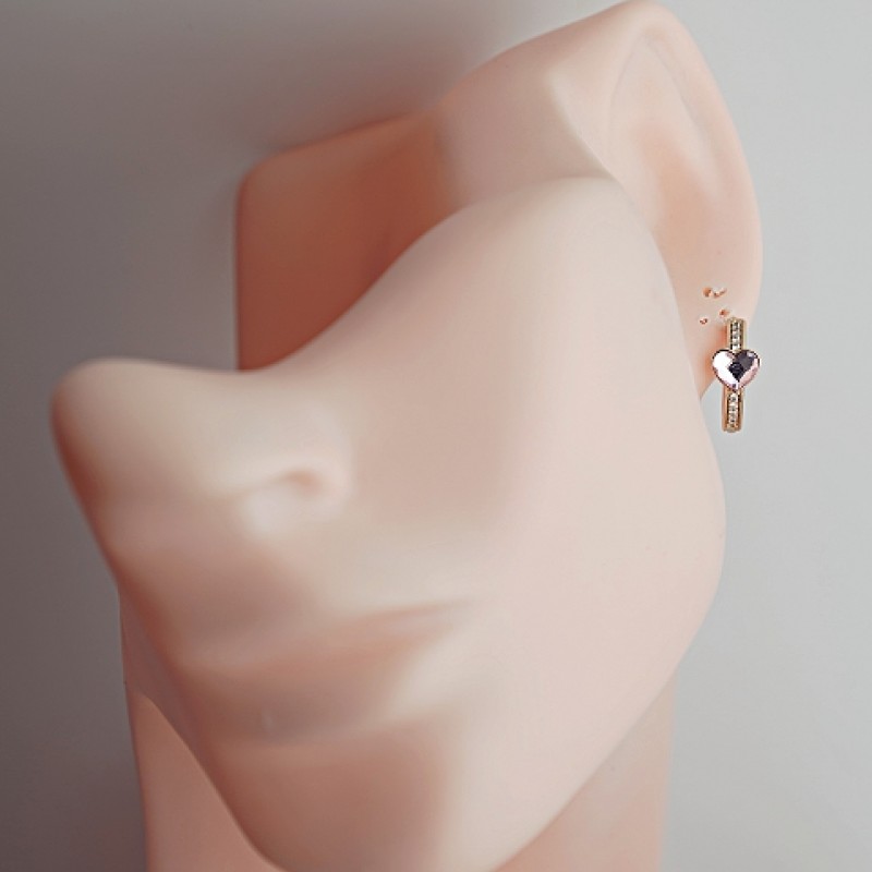 SWAROWSKI auskari apzeltīti