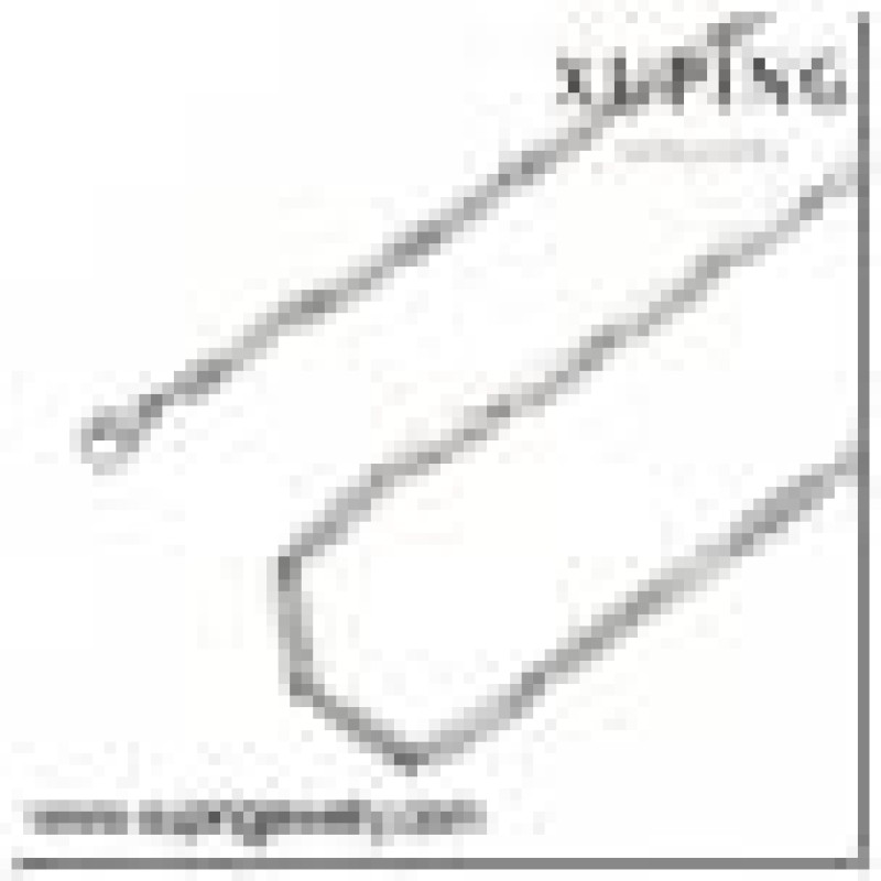 Ķēdīte ar rodija pārklājumu