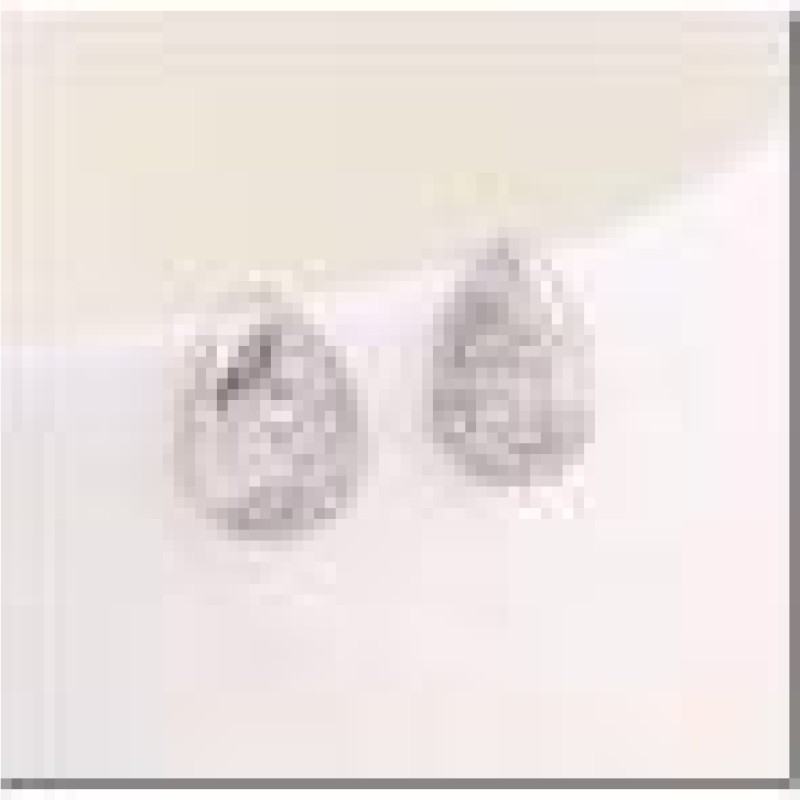 Auskari ar rodija pārklājumu