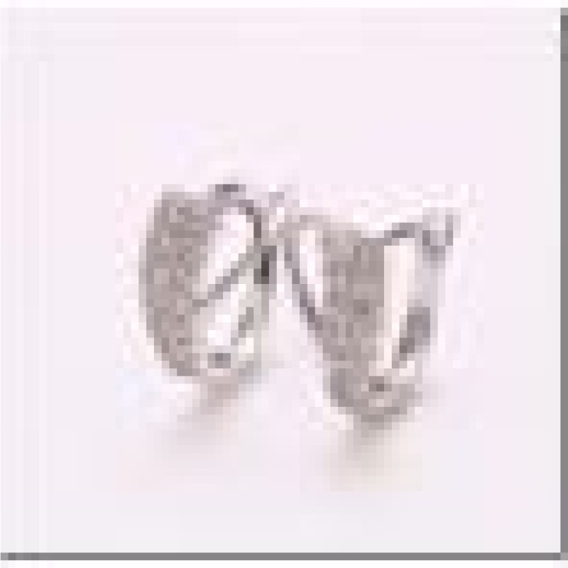 Auskari ar rodija pārklājumu