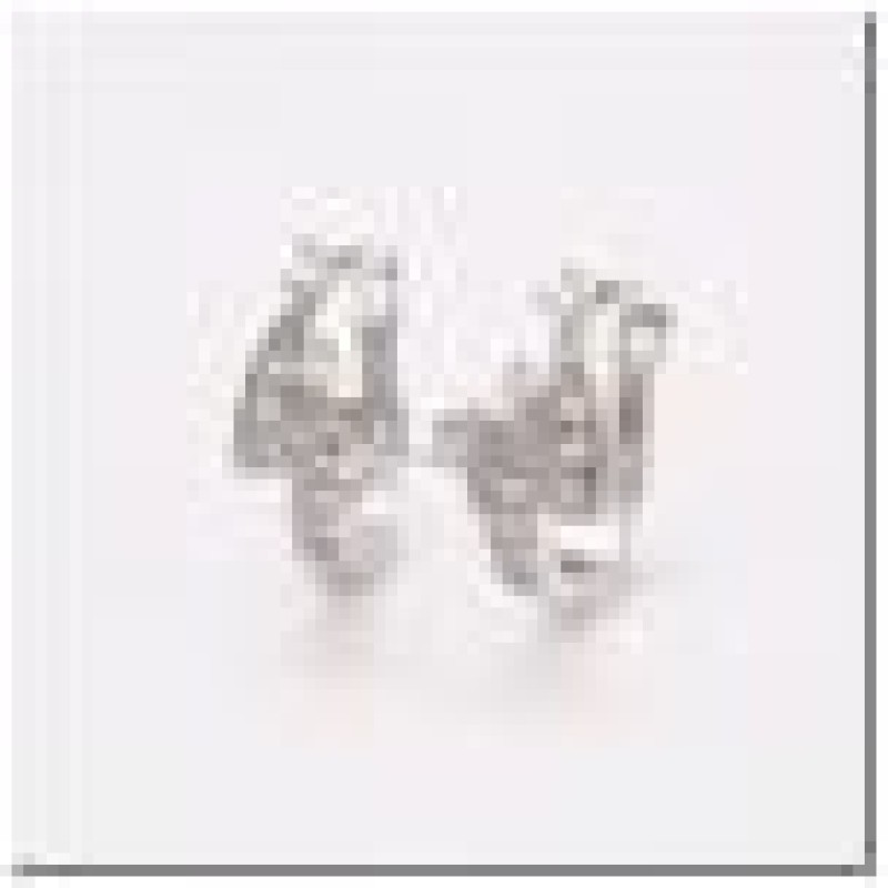 Auskari ar rodija pārklājumu