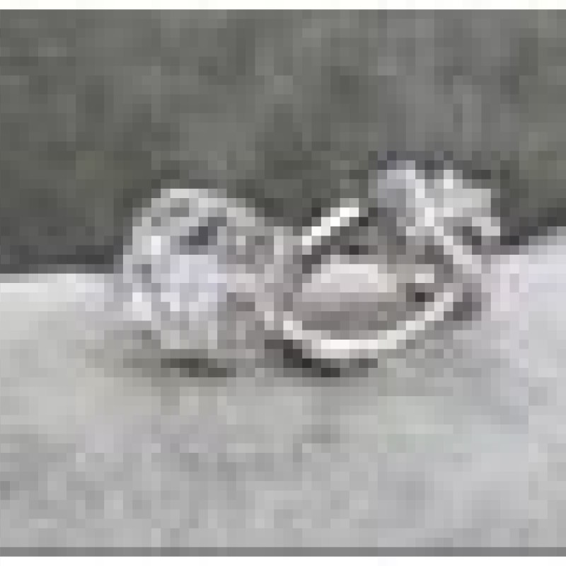 Auskari ar rodija pārklājumu