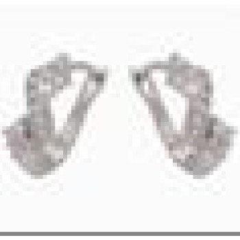 Auskari ar rodija pārklājumu