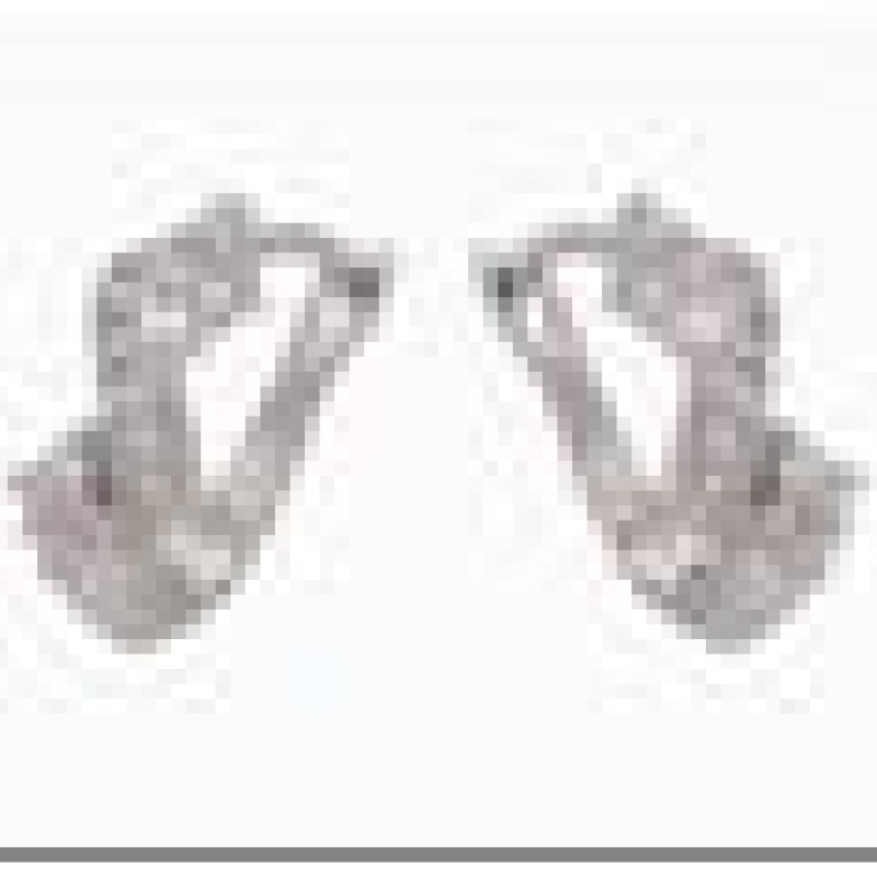 Auskari ar rodija pārklājumu