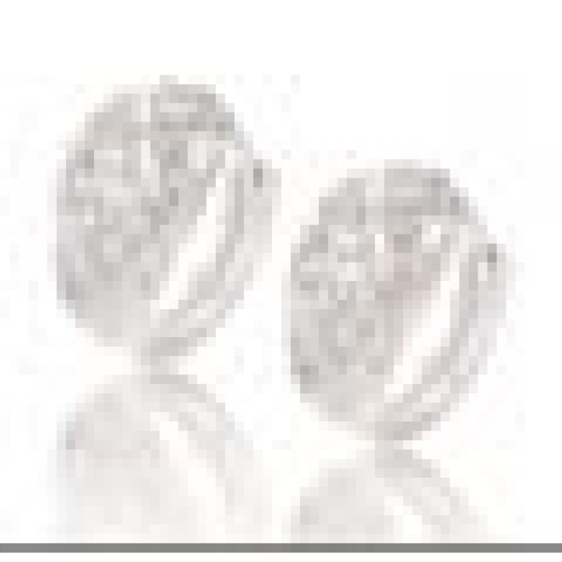 Auskari ar rodija pārklājumu