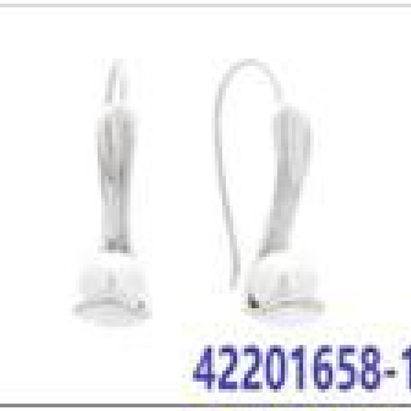 Auskari ar rodija pārklājumu