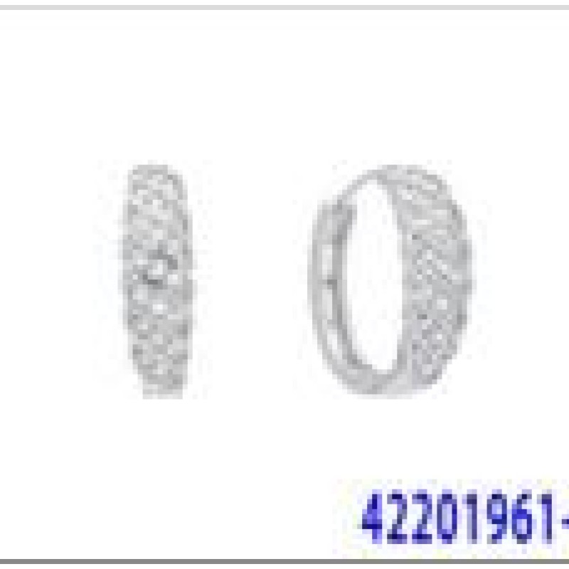 Auskari ar rodija pārklājumu