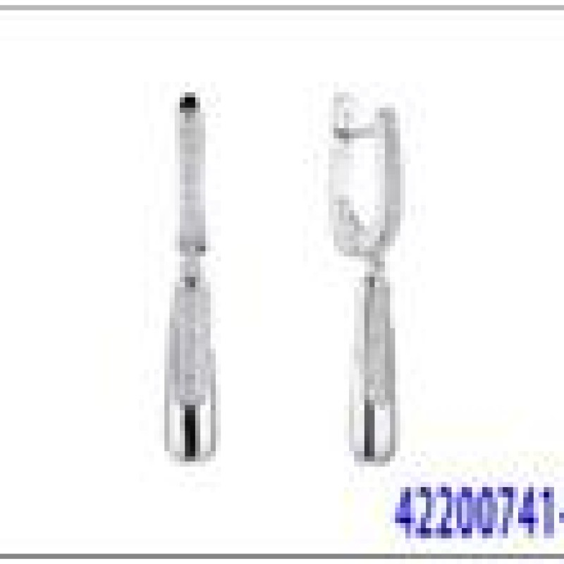 Auskari ar rodija pārklājumu