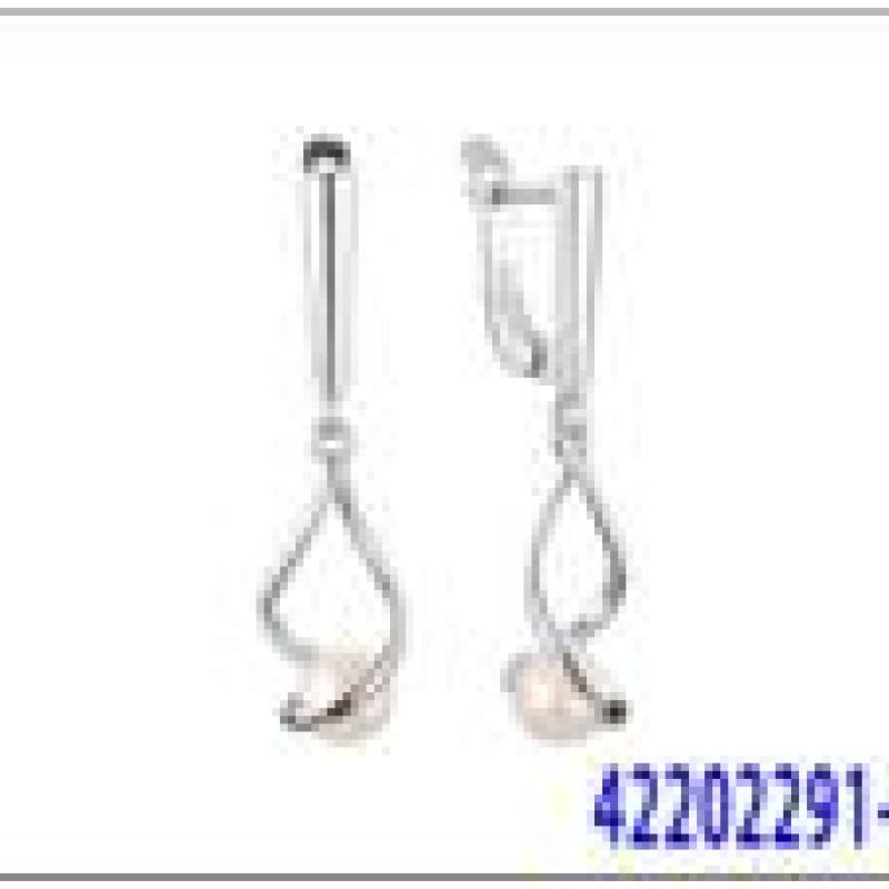 Auskari ar rodija pārklājumu