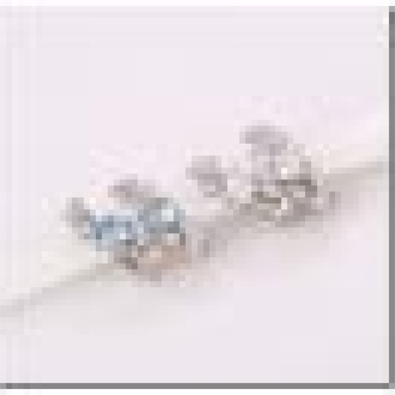 Auskari ar rodija pārklājumu