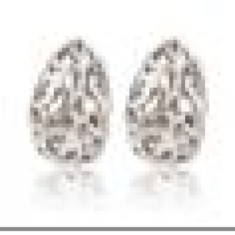 Auskari ar rodija pārklājumu