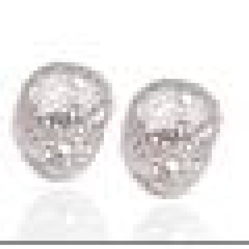 Auskari ar rodija pārklājumu