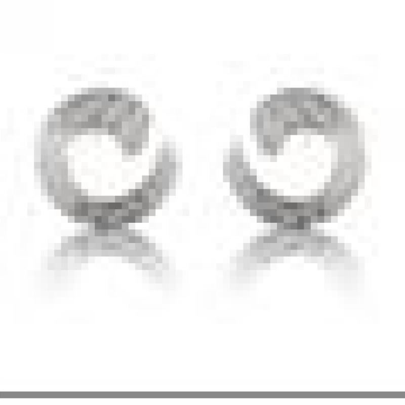 Auskari ar rodija pārklājumu