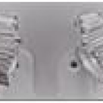 Auskari ar rodija pārklājumu