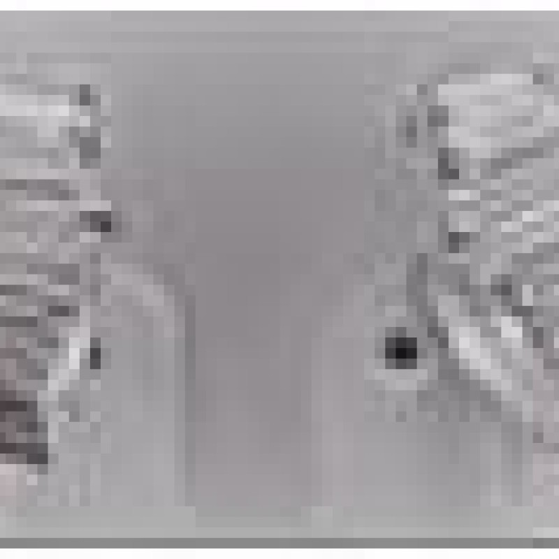 Auskari ar rodija pārklājumu