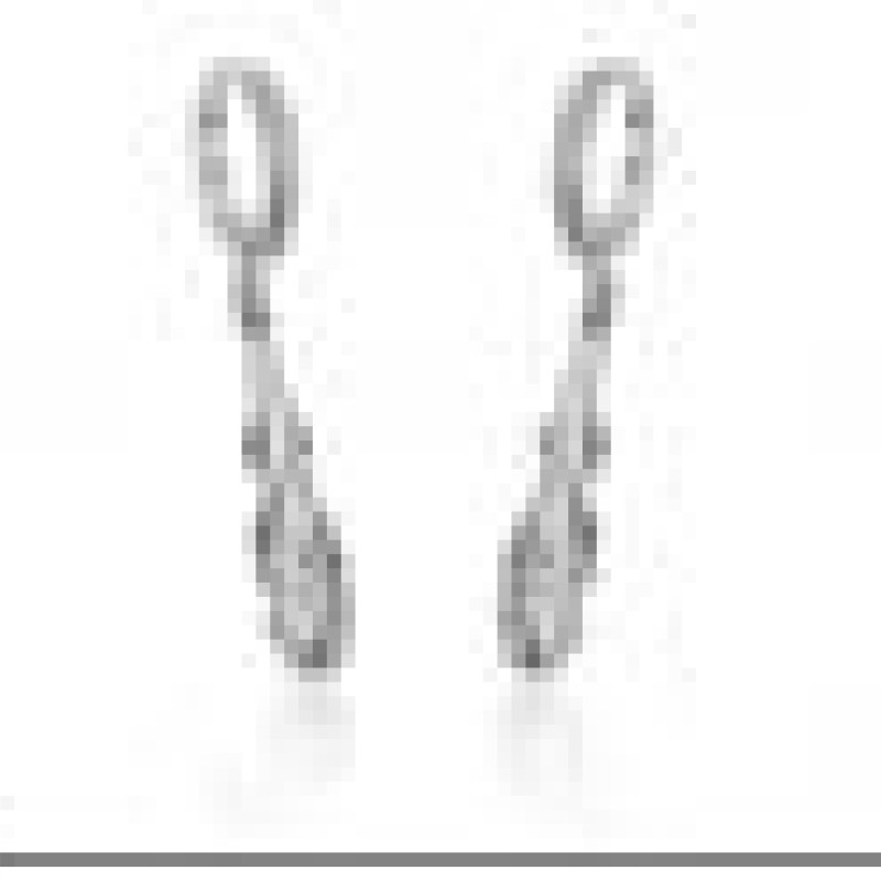 Auskari ar rodija pārklājumu