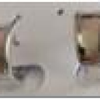 Auskari ar rodija pārklājumu