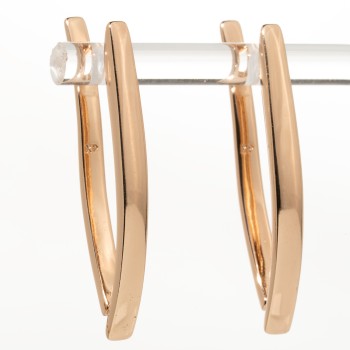 Apzeltīti auskari (standziņas)