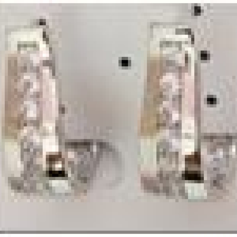 Auskari ar rodija pārklājumu