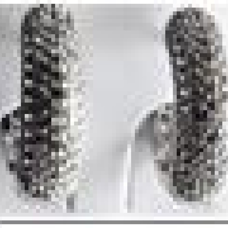 Auskari ar rodija pārklājumu