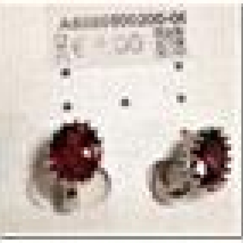 Auskari ar rodija pārklājumu