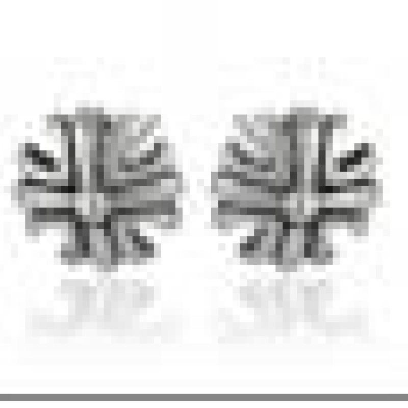 Nerūsējošā tērauda auskari