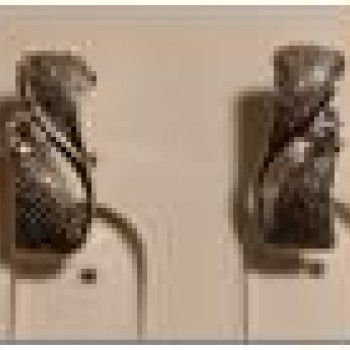 Auskari ar rodija pārklājumu