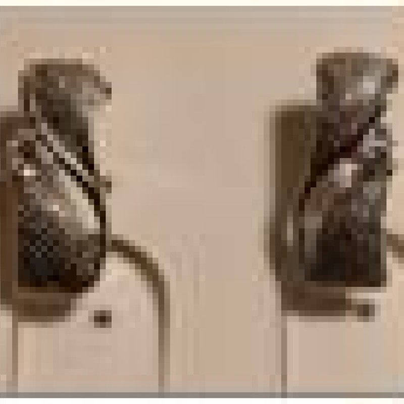 Auskari ar rodija pārklājumu