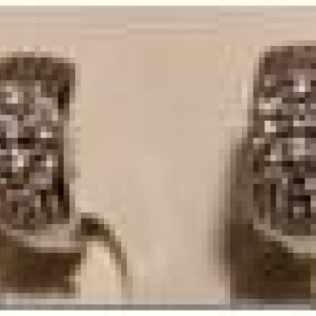 Auskari ar rodija pārklājumu