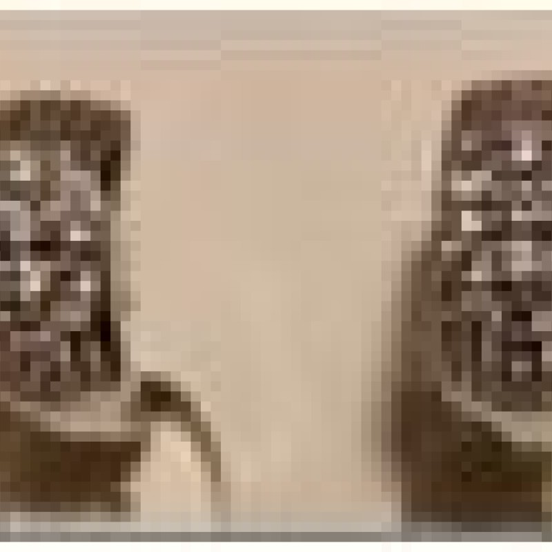 Auskari ar rodija pārklājumu