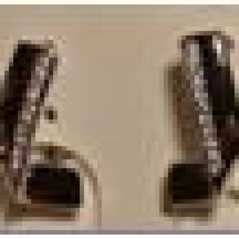 Auskari ar rodija pārklājumu