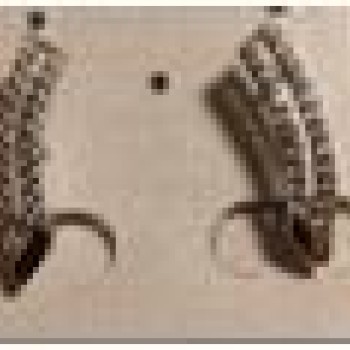 Auskari ar rodija pārklājumu