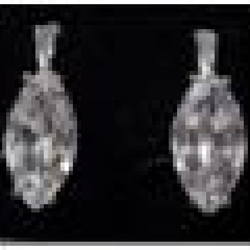 Auskari ar rodija pārklājumu