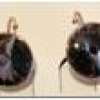 SWAROWSKI auskari apzeltīti