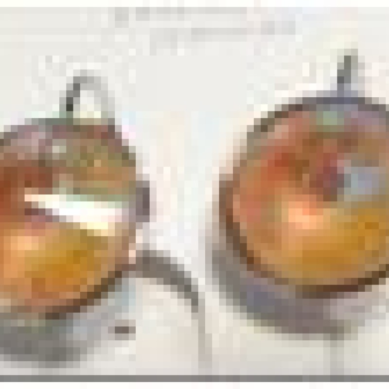 SWAROWSKI auskari ar rodija pārklājumu