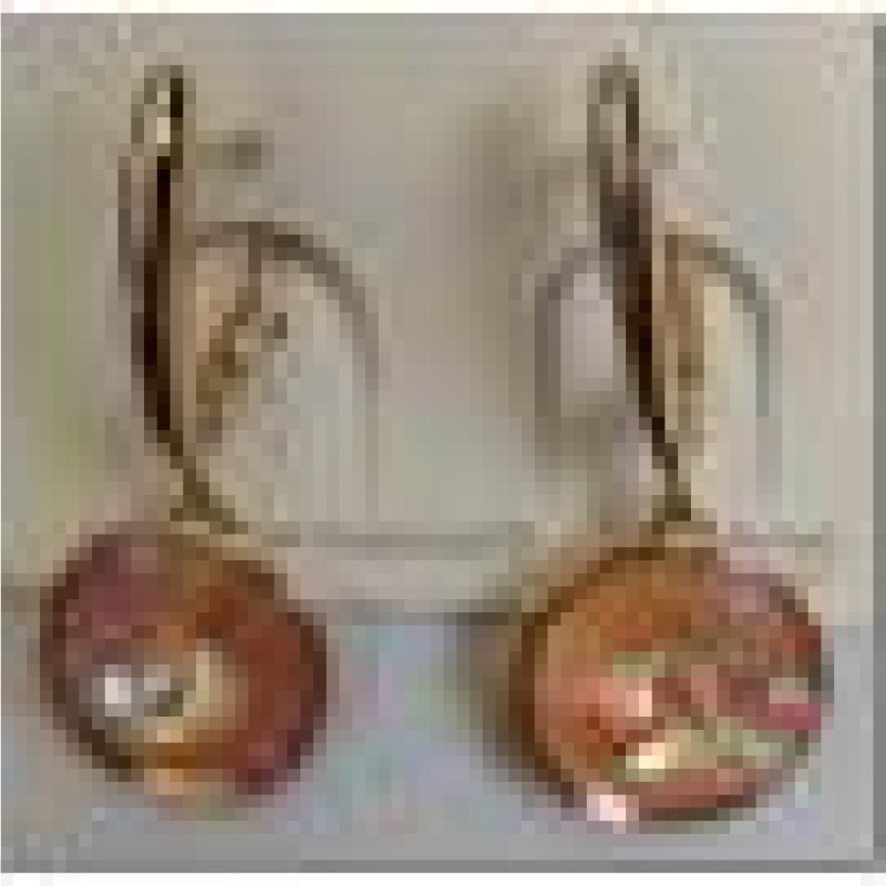 SWAROWSKI auskari apzeltīti