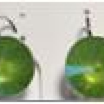 SWAROWSKI auskari ar rodija pārklājumu