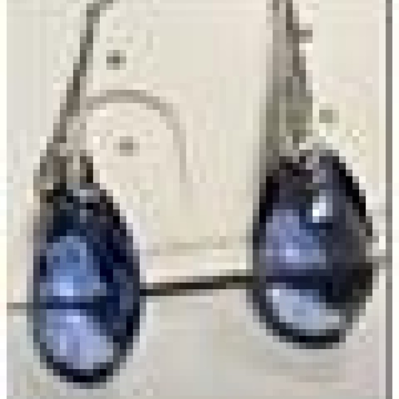 SWAROWSKI auskari ar rodija pārklājumu