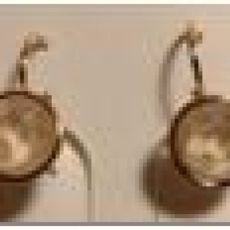 SWAROWSKI auskari apzeltīti