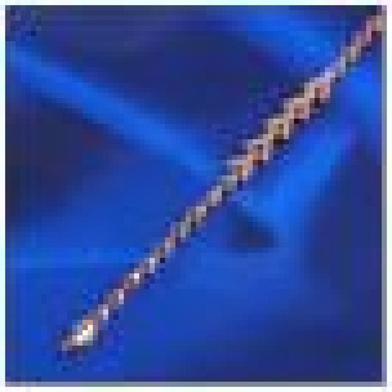 Apzeltīta rokassprādze