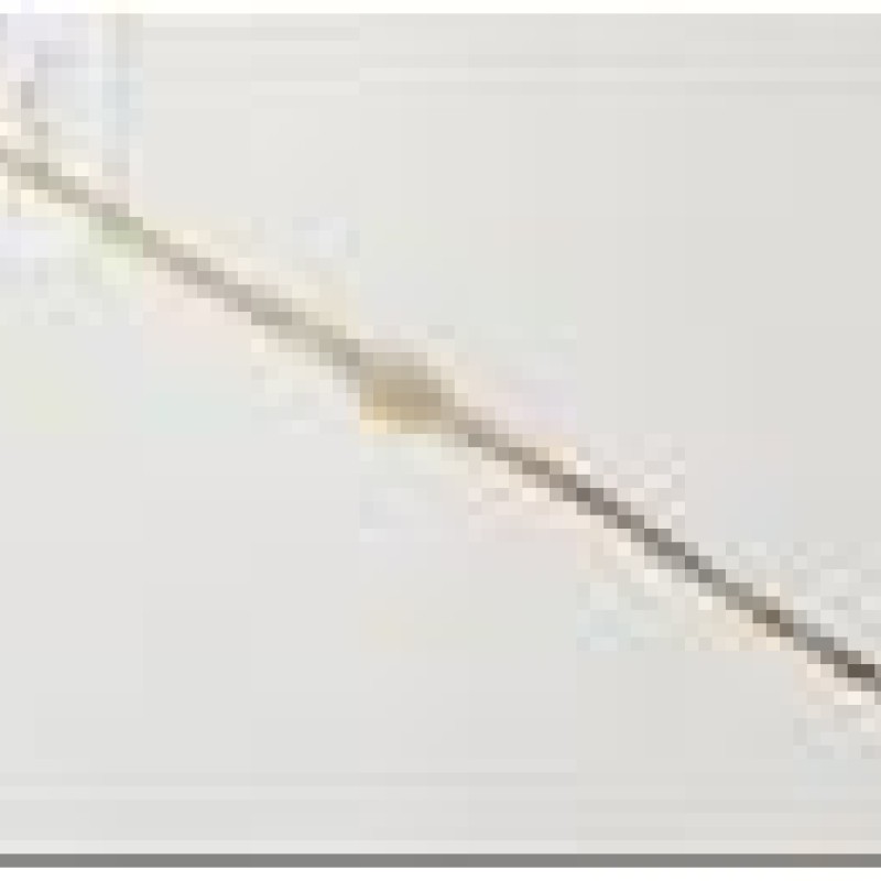 Apzeltīta rokassprādze