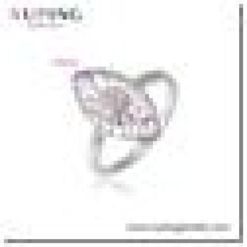 Gredzens ar rodija pārklājumu