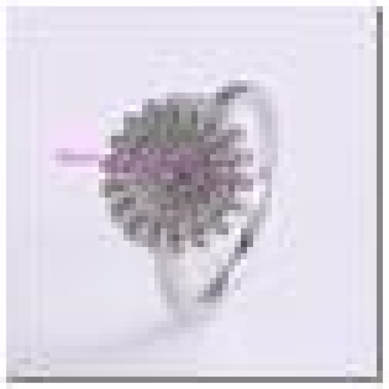 Gredzens ar rodija pārklājumu