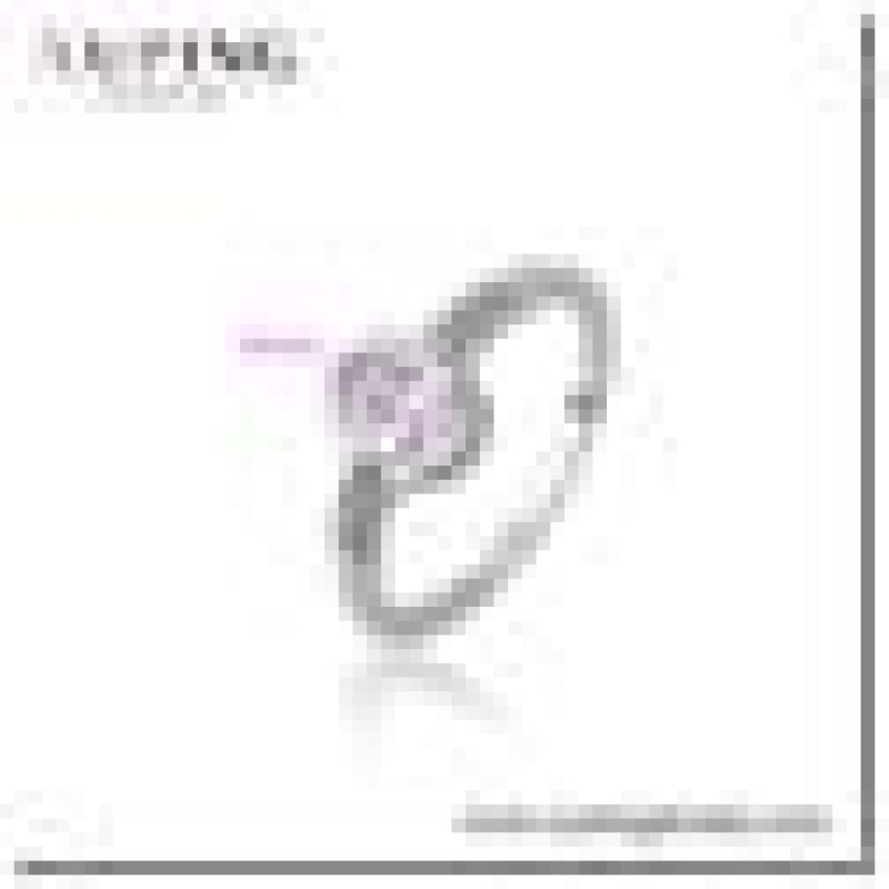 Gredzens ar rodija pārklājumu